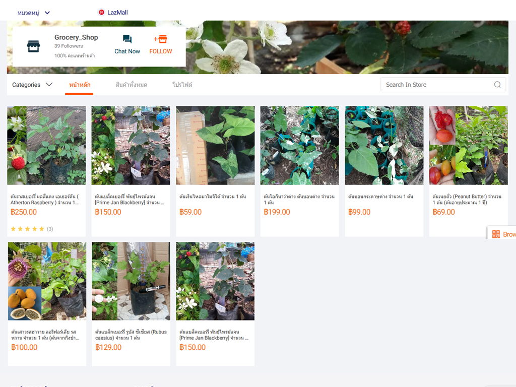 สร้างร้านค้า ขายสินค้ากับ lazada